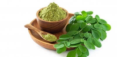 Moringapulver