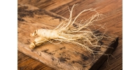 Ginseng