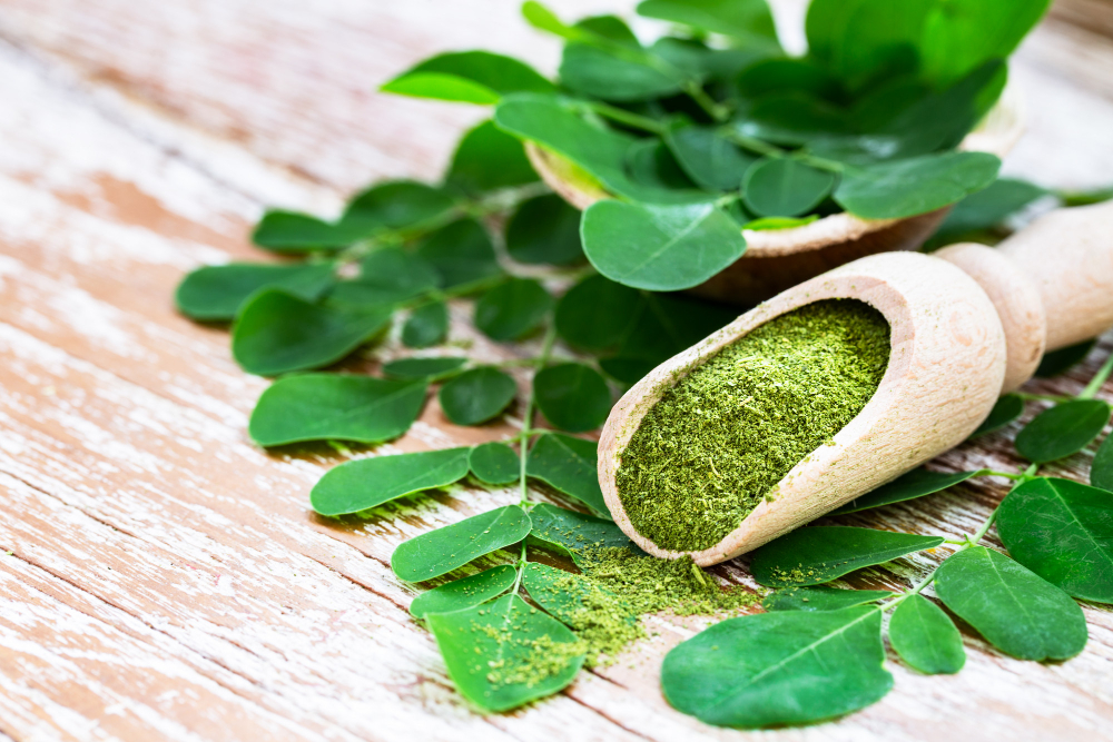 moringa banner