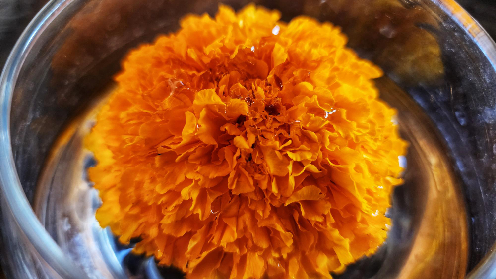 ringblomssalvan product